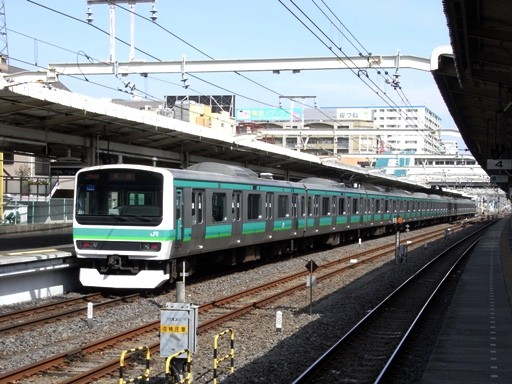 E231(�䑷�q�w)