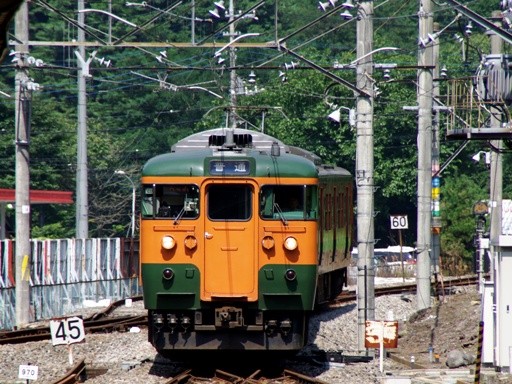 115(���쌴���Ì��w)