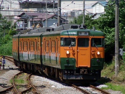 115(���V���w)