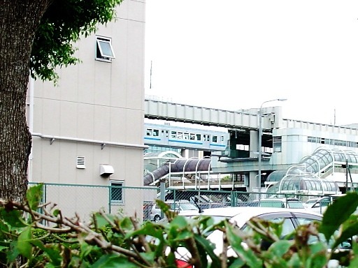 ����w��1000�n�����镗�i