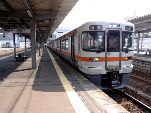 313(�������w)