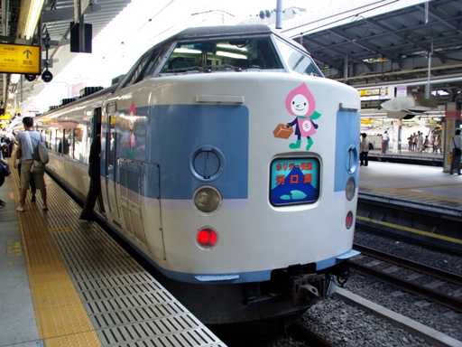 189�n(�������F)�z���f�[�����͌���(�V�h�w)