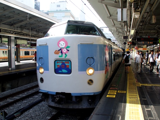 189�n(�������F)�z���f�[�����͌���(�V�h�w)