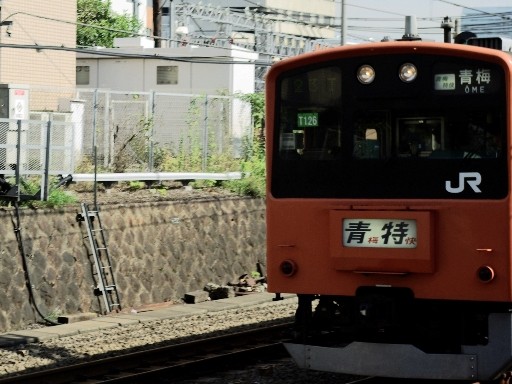 201�n�������~����(�M�Z���w)