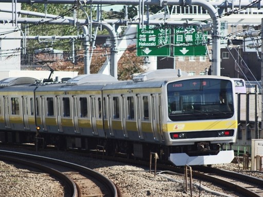 <P>E231�n�e�w���(�M�Z���w)</P>