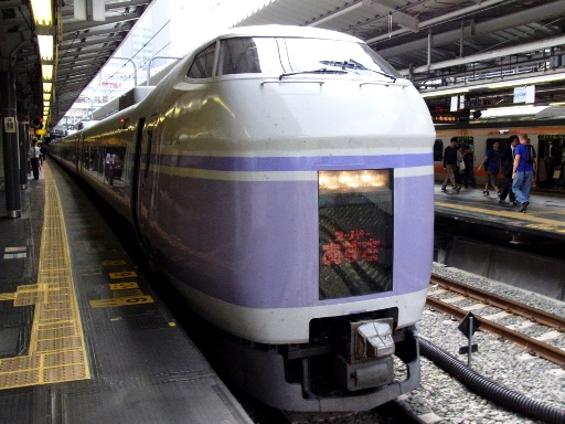 E351�n���}�X�[�p�[������(�V�h�w)