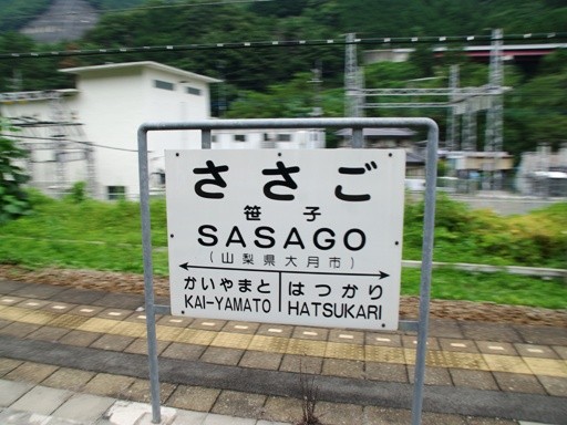 ���q�w�w���W