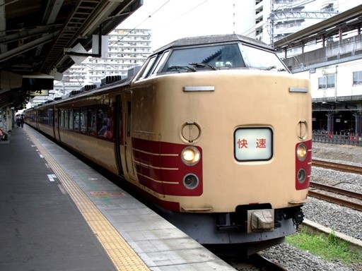 189�n�z���f�[�����͌���(�匎�w)