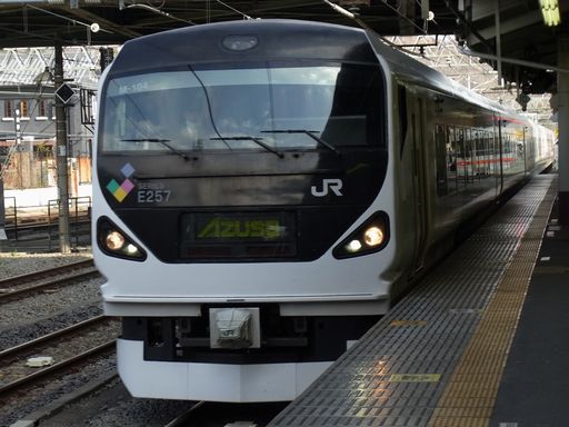 E257�n500�ԑ���}������(�b�{�w)