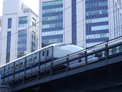 �V����(�L�y���w)