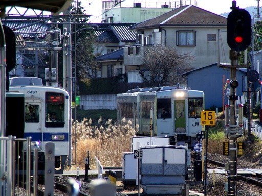 ����8000�n/�L�n110(�z���w)