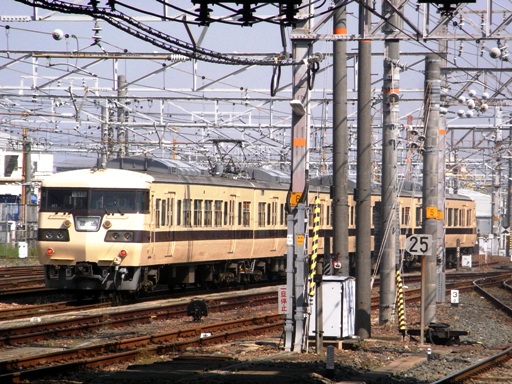 117�nS11�Ґ�(�L���w)