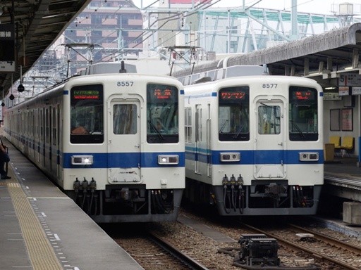 8557/8577(�g�M�w)