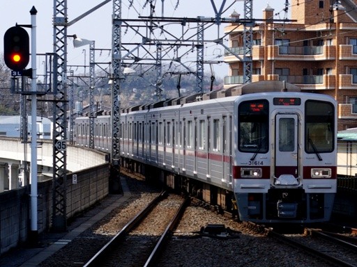 31614(�����s�w)