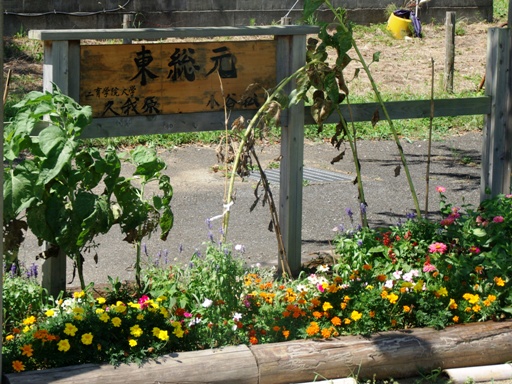 �������w�w���W