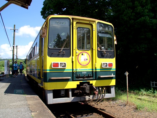 200�^203(�㑍����w)