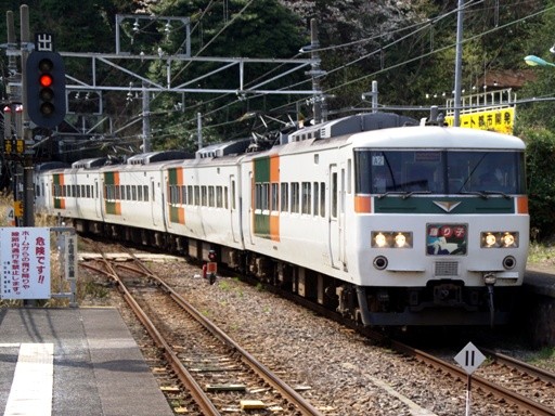 185�n�x��q��(�ɓ�����w)