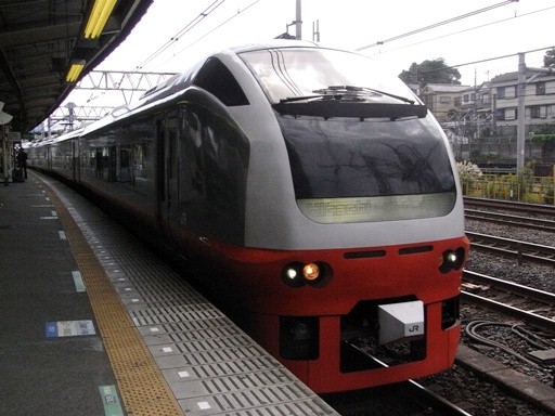 E653�n�t���b�V���Ђ���(���闢�w)