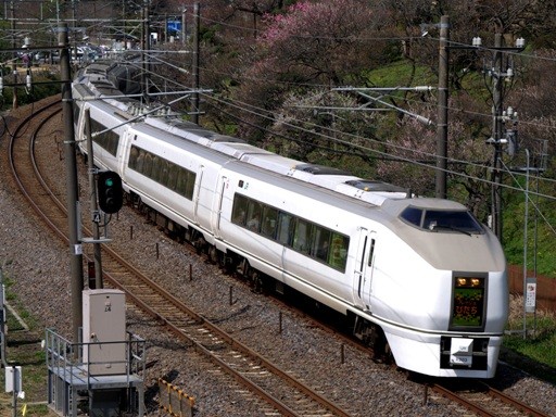 651�n�t���b�V���Ђ���(��y���w)