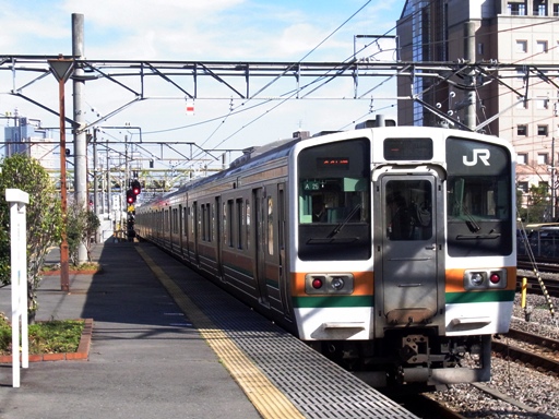 211�n�i�V�O���w�j