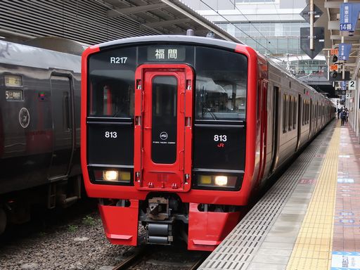 813�n(�����w)