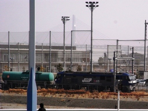 �����Y EF210-119(���l�w)