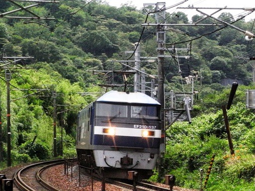 EF210-137(����-���{��)