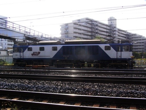 �@�֎� EF64-1021 (�n�w-������w 2009-11-4)