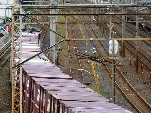 �@�֎� EF65-1065 (�n�w-������w 2010-10-22)