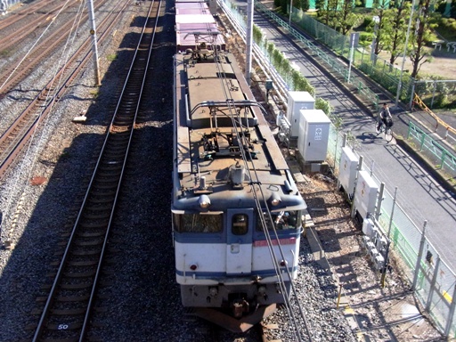 �@�֎� EF65-1081 (�n�w-������w 2010-11-5)