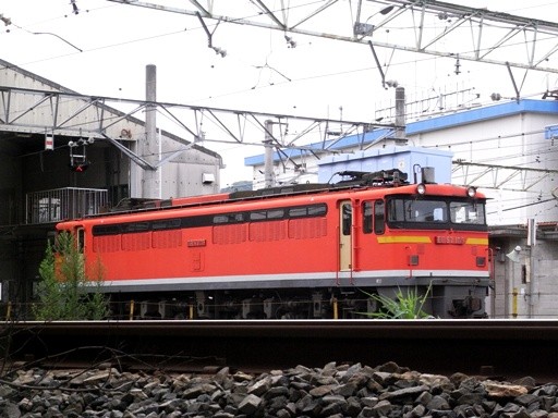 EF67-105(�V�_��w�E�L���ݕ��^�[�~�i��)