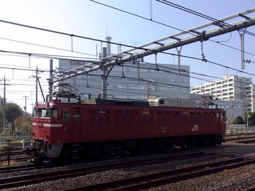 �@�֎� EF81-140 (�n�w-������w 2010-11-9)