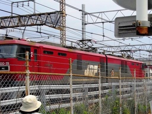 �@�֎� EH500-19 (�n�w-������w)