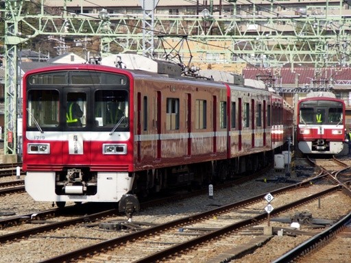 1719�̏ᒆ(���򔪌i�w)