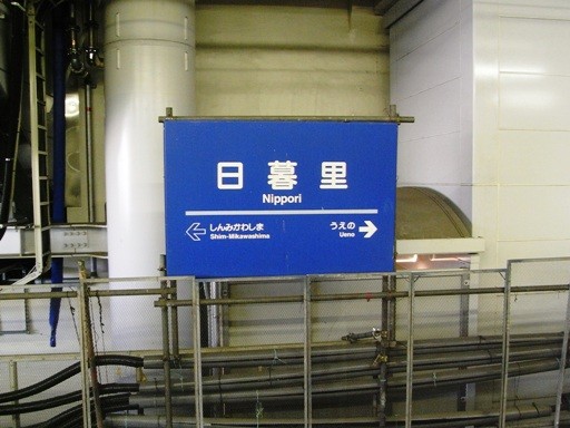 ���闢�w�w���W