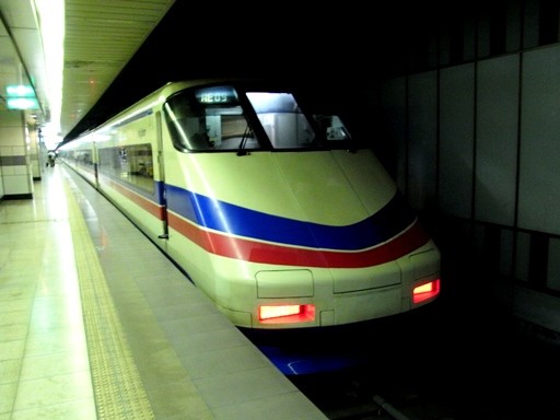 �X�J�C���C�i�[(���c��`�w)