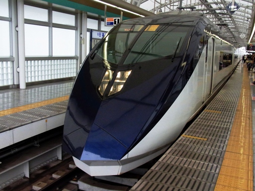 �X�J�C���C�i�[ AE�`�i���闢�w�j