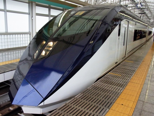 �X�J�C���C�i�[ AE�`�i���闢�w�j