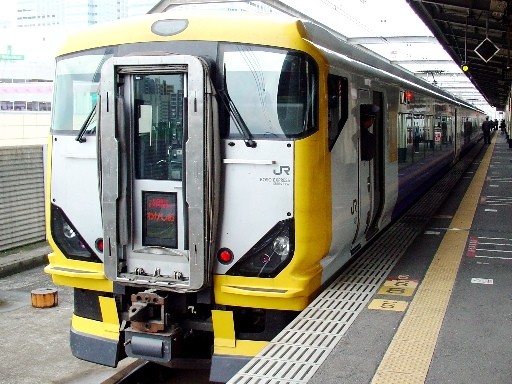 ���}�킩����(�C�l�����w)