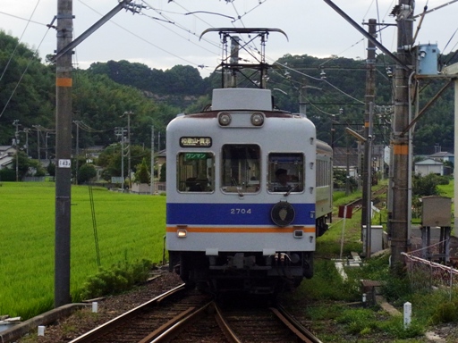 2270�n2704(�ɑ��V�\�w)