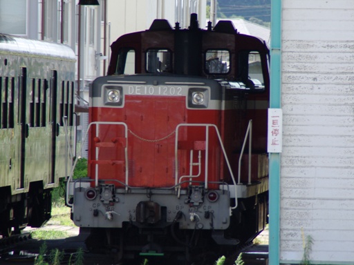 DE10-1202(�؍X�Éw)