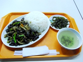 ��A����M���Z�p�E�Ɗw�@�E�w���H��