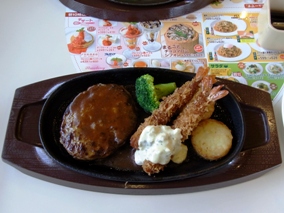 �n���o�[�N�@�K�X�g�i��ʁE����j 