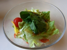 �T���_ �K�X�g�i��ʁE����j