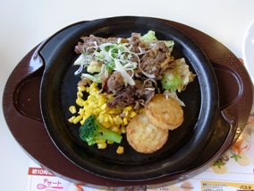 �Ă����@�K�X�g�i��ʁE����j