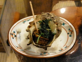 �T�U�G�i�Ǝ蒃�� ��蒬�X�j