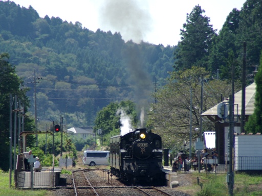 C12-66(�s���w)