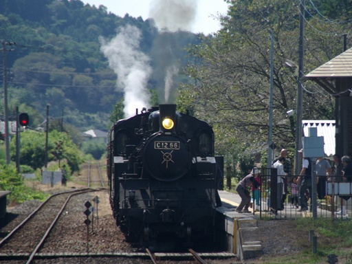 C12-66(�s���w)