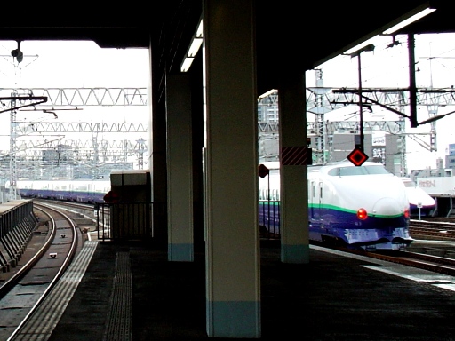 ��{�w�z�[������