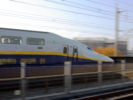 �V����(�˓c�����w)